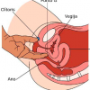 Vibrador succionador doble orgasmo didi - Image 5