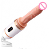 Sex Machine - Image 2
